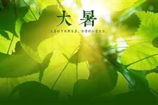 大暑防中暑的食物:大暑防中暑吃什么食物好