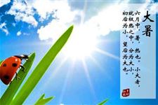 大暑养生小妙招 大暑节气的传统习俗有哪些