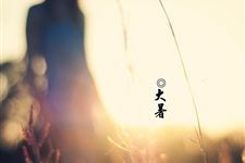 大暑问候亲友的温馨短信