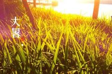 大暑节气代表什么 大暑节气说明什么