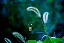 小暑节气是什么意思?小暑节气代表什么?
