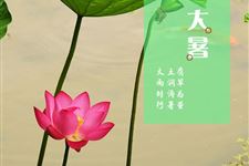 大暑去湿热吃什么好 小暑湿热体质养生方法