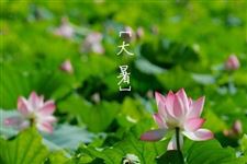 2017年大暑节气如何养生 大暑节气的养生方法