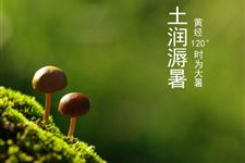 大暑时节怎么吃健康 2017年大暑时节怎么吃健康
