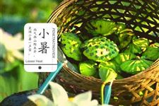 小暑节气如何养生 起居宜午休