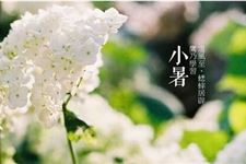 7月7日迎“小暑”节气:“三伏”防暑 更要“养心”
