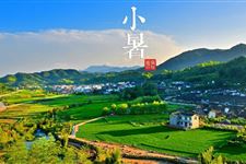 小暑节气到要防皮肤病