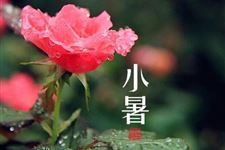 关于小暑的诗词 2017年关于小暑的诗词有哪些