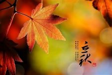 关于立秋的故事 关于立秋故事都有哪些