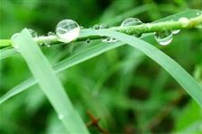 白露对农业的影响 白露对农业有哪些变化
