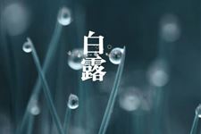 白露节气润肺防秋燥食物 白露节气适合吃哪些食物润肺