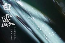 白露节气吃什么水果 白露节气应季水果有哪些