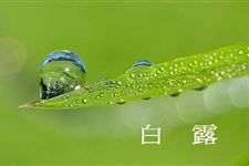 白露养生小技巧 白露应该如何养生