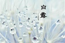 关于白露诗词大全 白露诗词有哪些