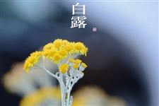 白露要预防哪些疾病 白露疾病应该如何预防