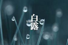 白露养生要注意什么