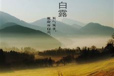 关于白露的诗歌 关于白露的诗歌有哪些