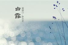 白露谚语有哪些 关于白露的农谚诗词