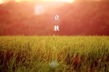 立秋为什么吃西瓜 立秋吃西瓜的由来