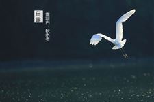 关于白露时节诗词有哪些 关于白露诗词大全