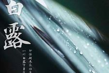 2017年白露节气各地都有哪些风俗 白露节气各地风俗