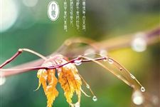2017年白露结婚好吗 2017年白露能结婚吗