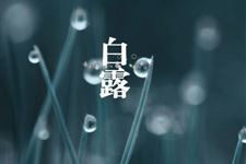 白露为什么要剪纸 白露剪纸的原因