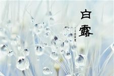 关于白露的祝福语 2017年白露祝福语有哪些