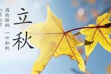 2017今年有几个秋老虎