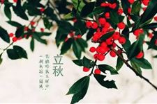 立秋习俗大全 立秋都有哪些习俗