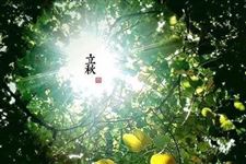 立秋是要贴秋膘么 立秋为什么要贴秋膘