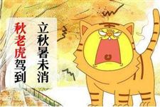 2017年秋老虎是哪天 2017秋老虎从什么时候开始