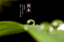 2018年雨水是哪天 今年雨水是什么时候