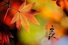 关于立秋谚语有哪些 立秋谚语大全