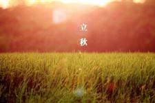 吃西瓜就是咬秋的意思 立秋一定要吃西瓜吗