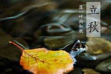 今年秋老虎有多少天 2017年秋老虎天数