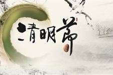 清明节送花注意事项 清明节送花讲究有哪些