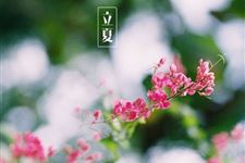 关于立夏的古诗词 描述立夏诗词有哪些