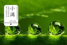 小满的含义有哪些 小满说明什么