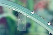 小满是什么意思 小满代表什么