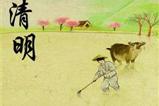 2018年清明节可以说“节日快乐”吗