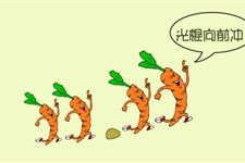2017年光棍节适合送男友什么礼物