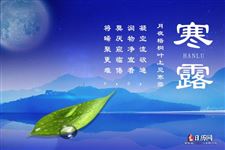 寒露诗句,寒露的诗句有哪些,,寒露诗词大全