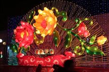 家乡的元宵节作文 家乡的元宵作文范例