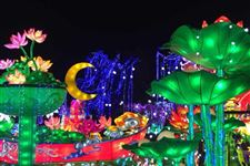 元宵节闹花灯作文 元宵节闹花灯优秀作文