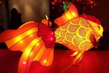 二年级元宵节感想优秀作文