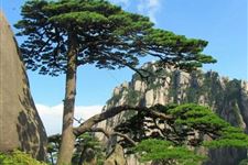适合元宵节旅游的地方有什么