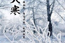 大寒表征