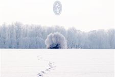 大雪节气期间关于农事有哪些建议