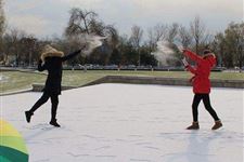 大雪节气赏玩雪景滑冰嬉戏